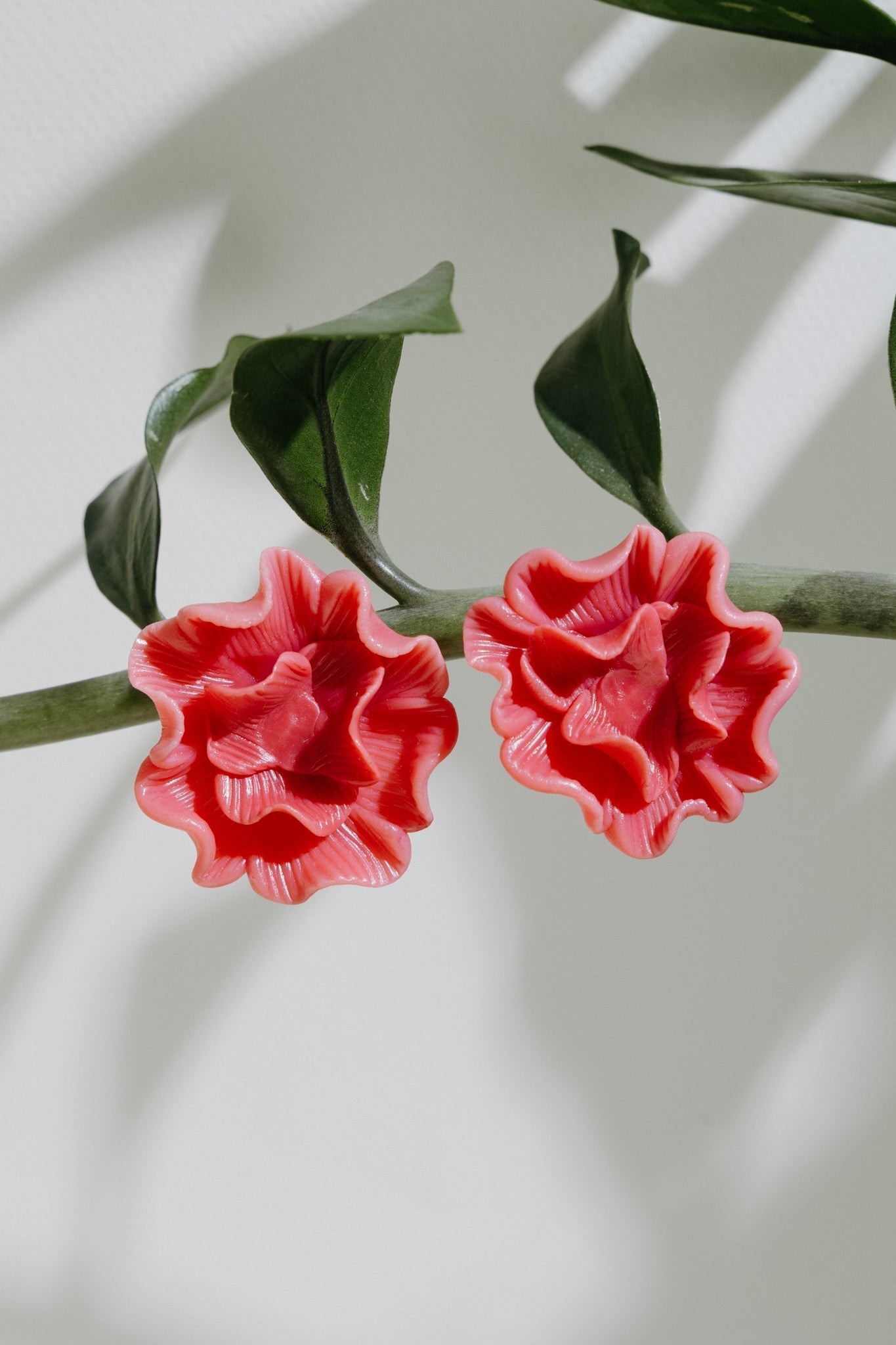 ¿QUÉ SON LOS BESIS?